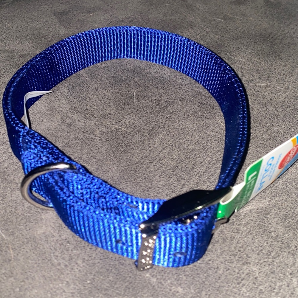 dog collar size large